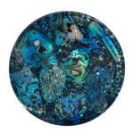 Load image into Gallery viewer, Paua Coaster Paua Shell
